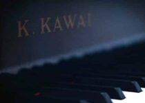 Best Kawai Digital Pianos: Reviews and Guide to the Top Keyboards from Kawai