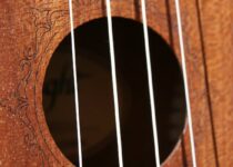 The Best Ukulele Strings: Reviews of the Top Ukulele Strings