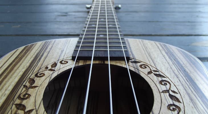 Best concert ukulele reviews