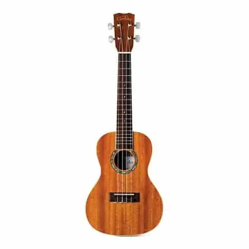 Cordoba 15cm concert ukulele