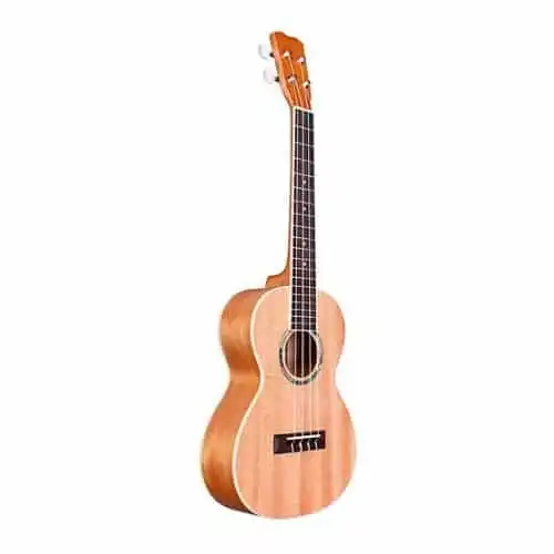 Best affordable deals concert ukulele