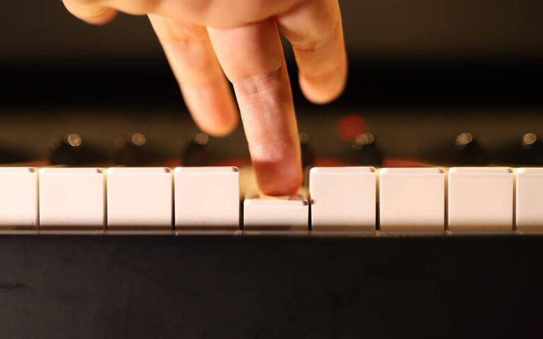 Difference between hammer action and weighted keys