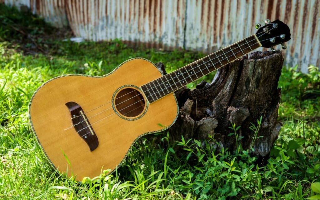 Baritone ukulele leaning against a stump
