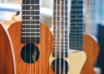 The 10 Best Ukulele Brands in the World (for ultimate quality)