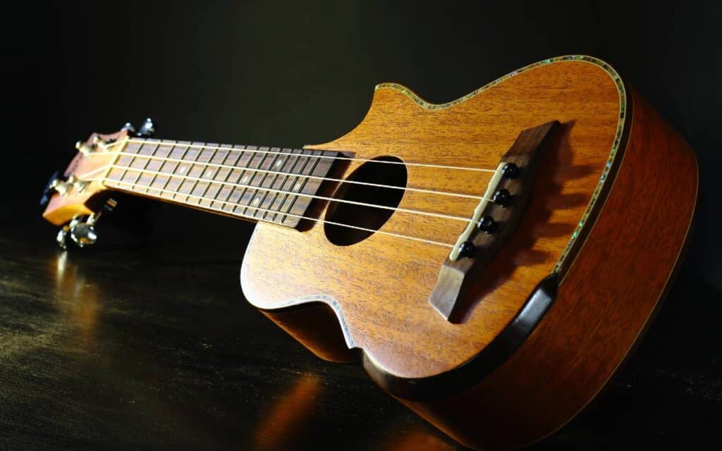 Different types deals of ukulele