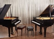 The Different Types of Pianos Explained: A Detailed Guide