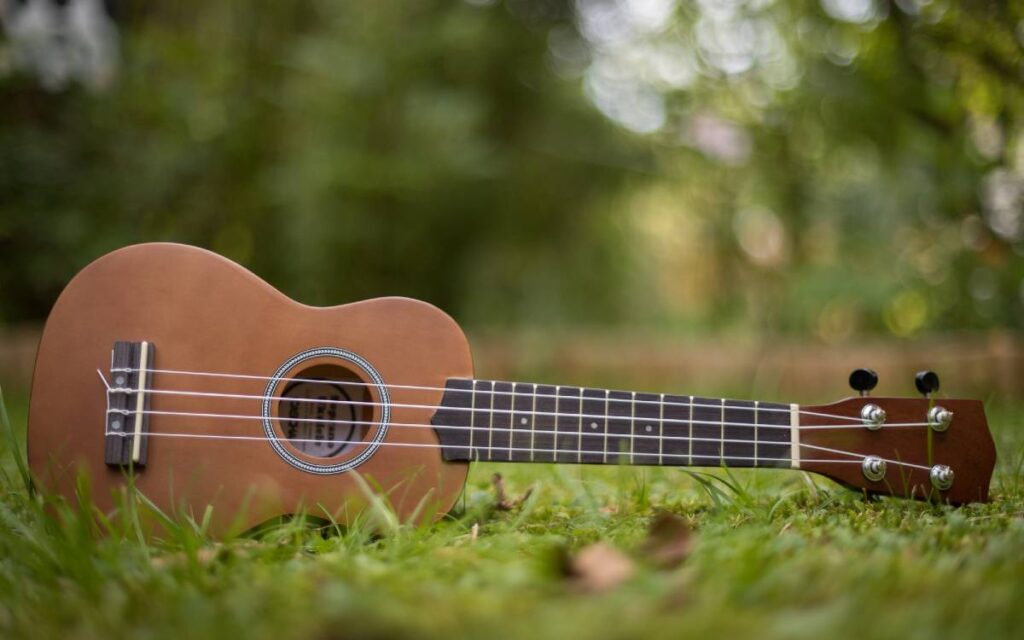 Soprano ukulele lying on grass