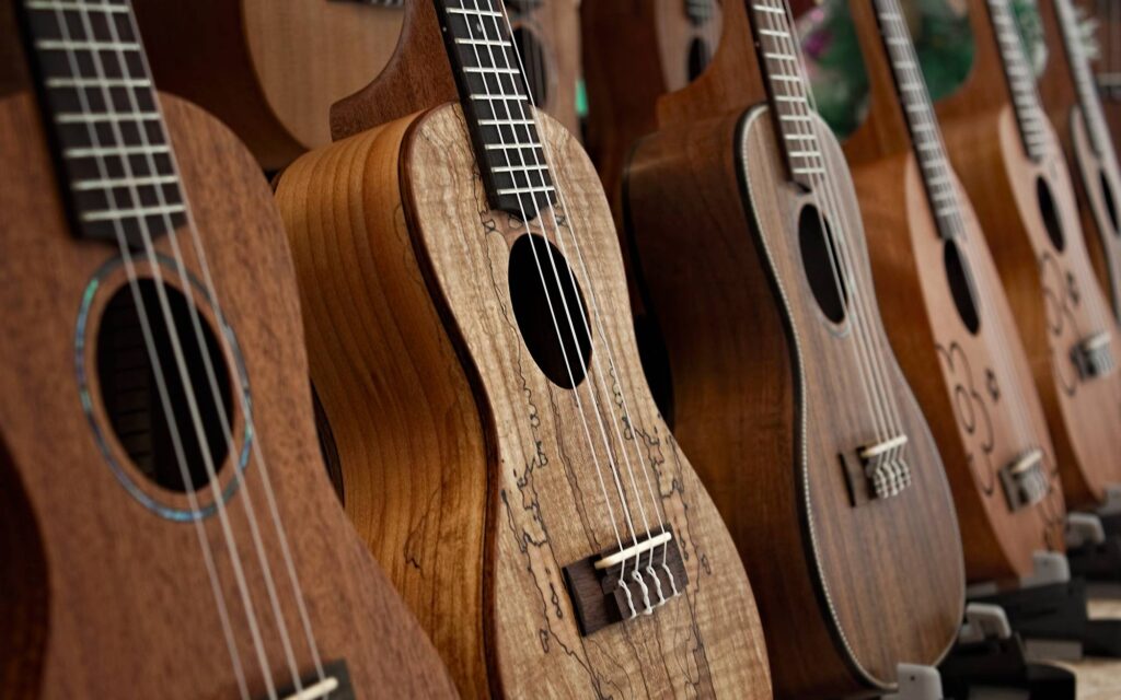 Row of ukuleles
