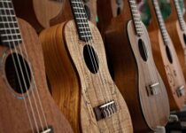 What Ukulele Sizes Are There? Complete Guide to the Standard Sizes