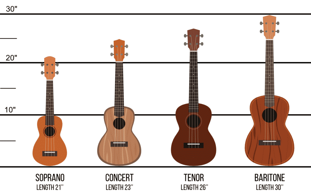 Ukulele sizes lined up with ruler