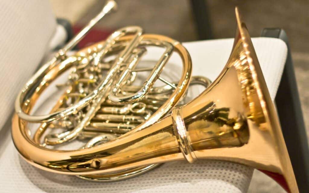 The french horn is one of the most difficult instruments to learn to play
