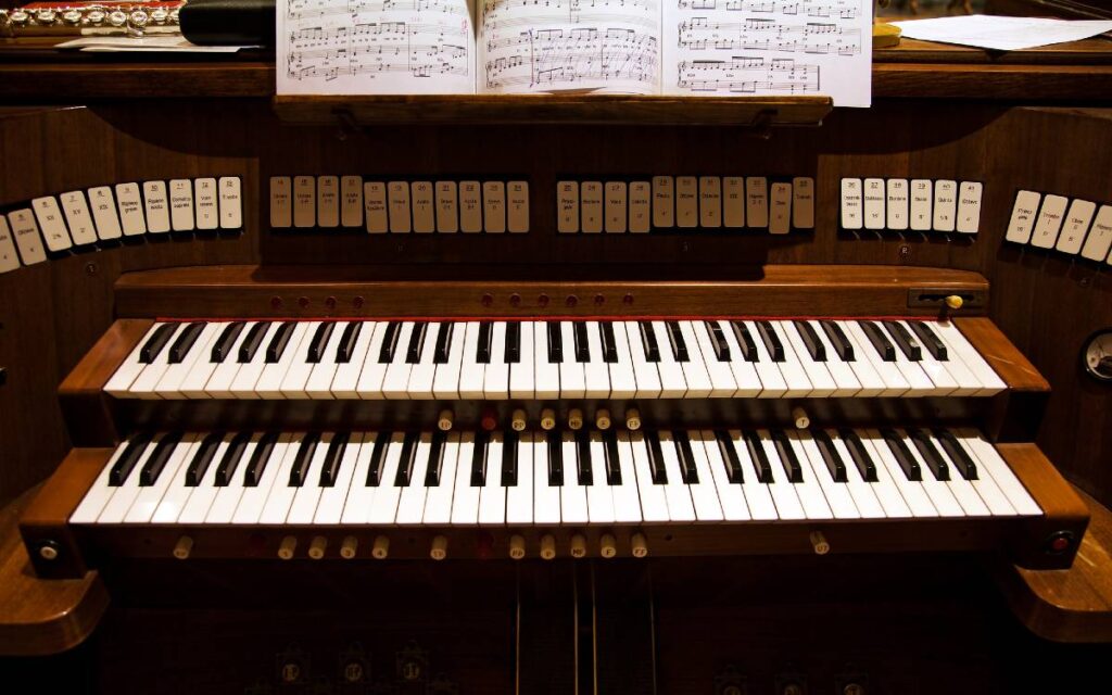 Organ, musical instrument