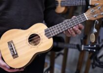 How Much Does a Ukulele Cost? What You Need to Know