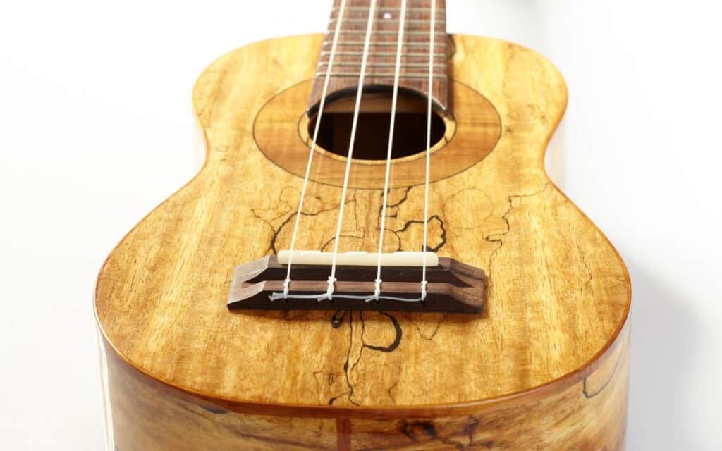 Ukulele on white background