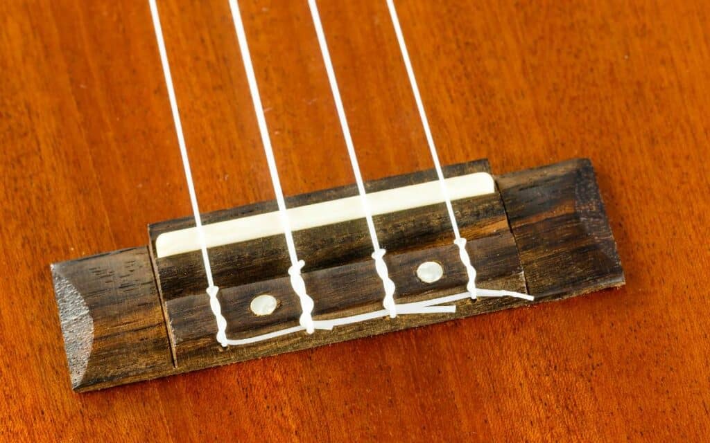 Closeup of a ukulele bridge
