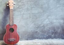 Beginner’s Guide to the Parts of Ukulele Anatomy You Need to Know