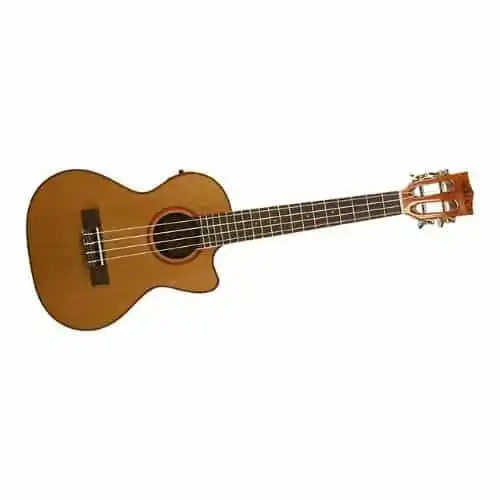 Kala ka-atp-ctg-ce acoustic-electric tenor ukulele