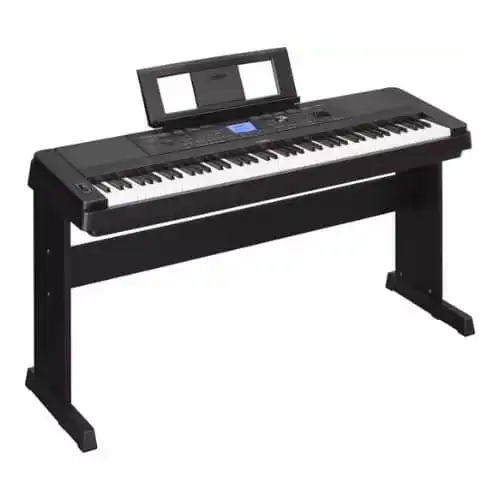 Yamaha P125 vs Korg SP 280: Better Beginner's Digital Piano?