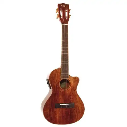 What Ukulele Does Tyler Joseph Use  